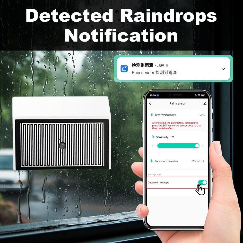 Smart Zigbee 2 in 1 Rain Senso - مراجعة Outdoor Lighting Zigbee وسعره
